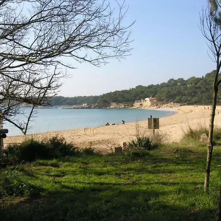 Se105 Palamos